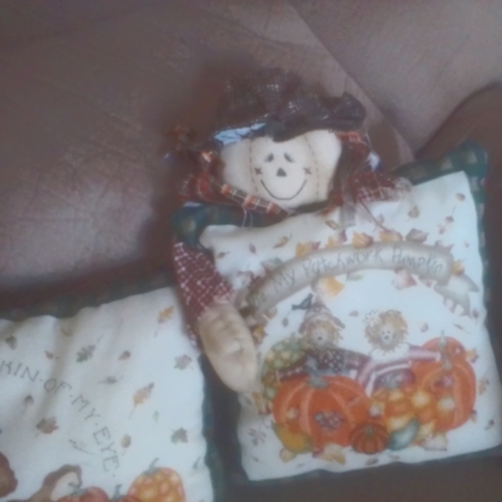 Handmade Fall pillows